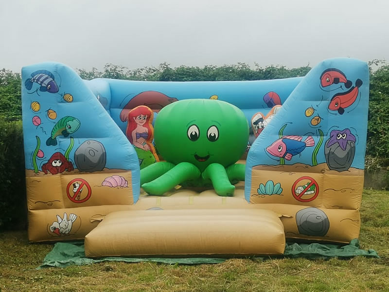 Underwater Theme Bouncy Castle