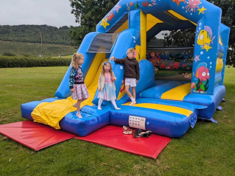 Ocean Bouncy Castle with Slide