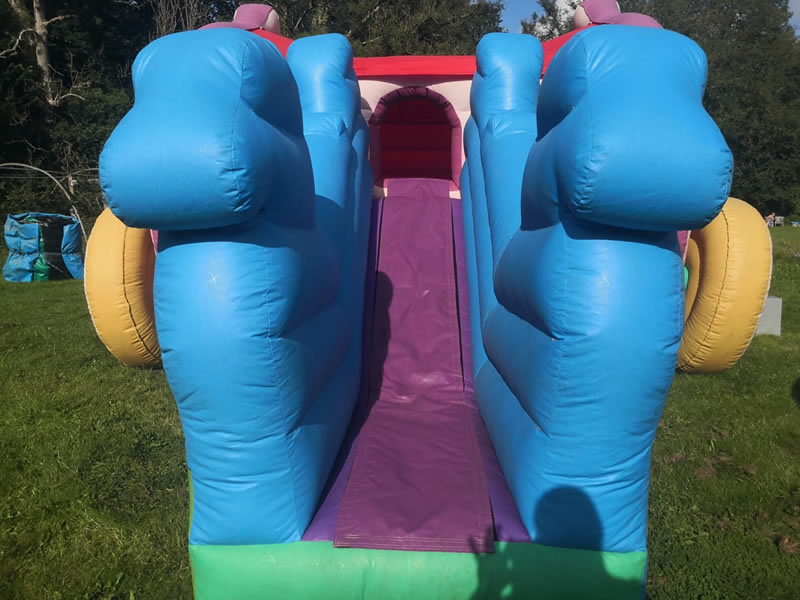 Princess Castle with Slide