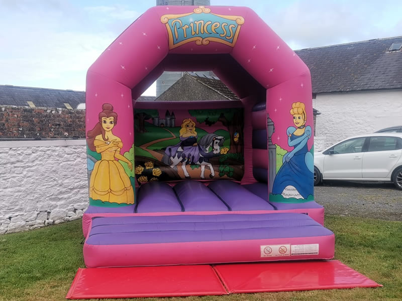 Indoor Princess Bouncy Castle