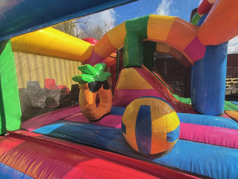 Summer Themed Bouncy Castle with Slide