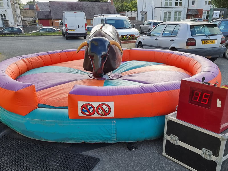 Rodeo Bull Hire Wales