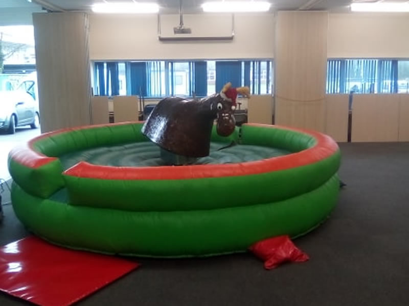Rodeo Reindeer Hire Wales