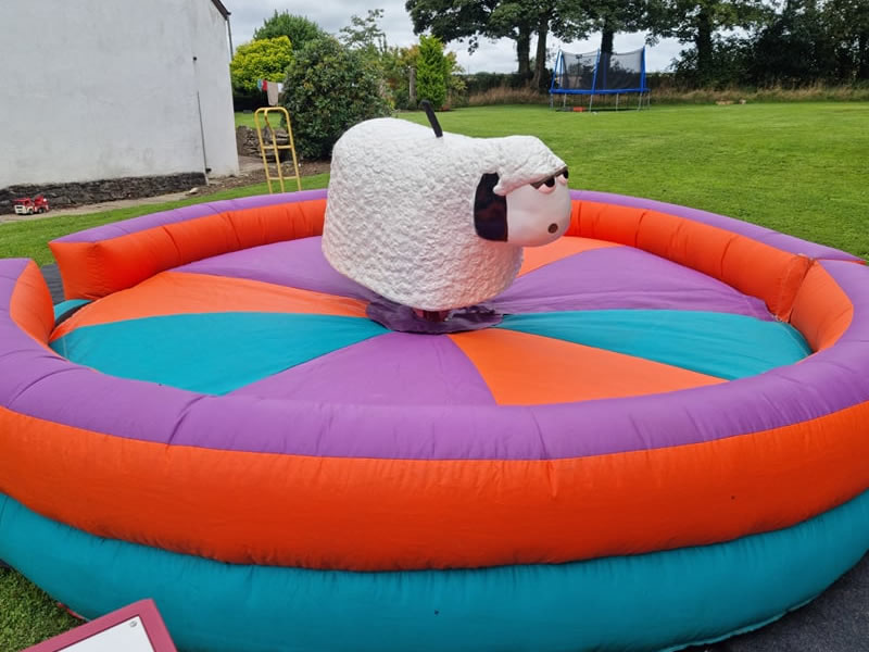 Rodeo Sheep Hire Wales
