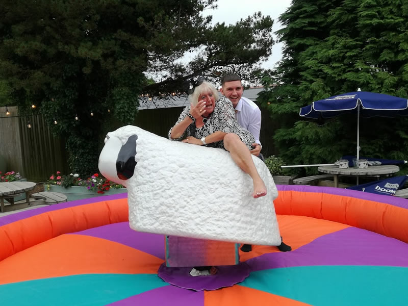 Mechanical Rodeo Sheep Ride