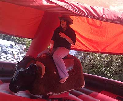 Rodeo Bull Hire Swansea
